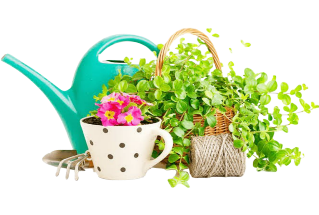 Start Your Home Garden Kit Today