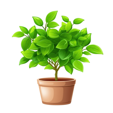 Get 30% off on Planter