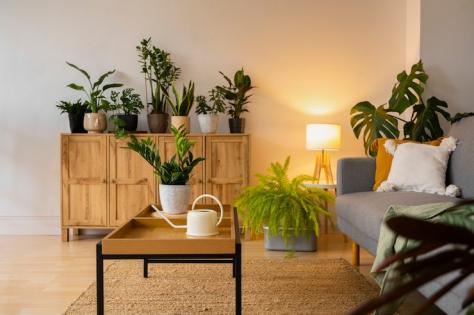 Aesthetic Spaces: 5 Inspiring Ideas to Style Your Home with Indoor Plants